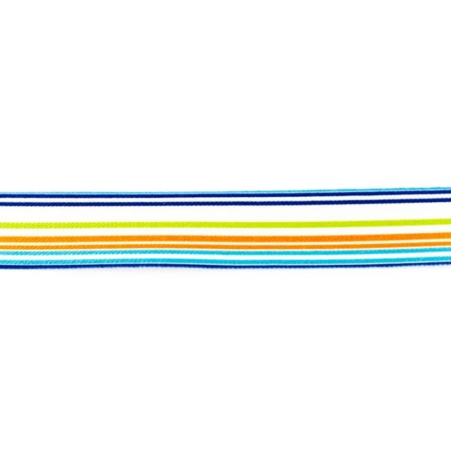 De Stoffenkamer Taille Elastiek 25mm multi stripes