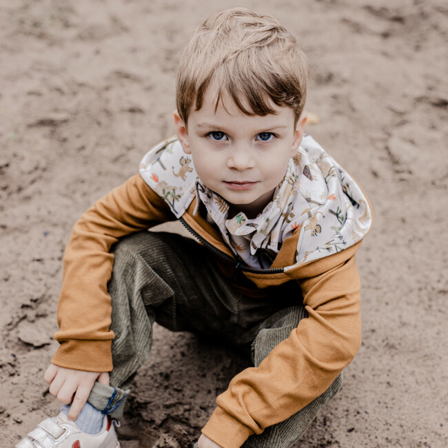 Capsule Fabrics Cotton - The Prehistory