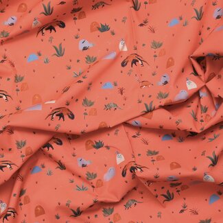 Cloud 9 Cotton Arid Wilderness - Coral Creatures