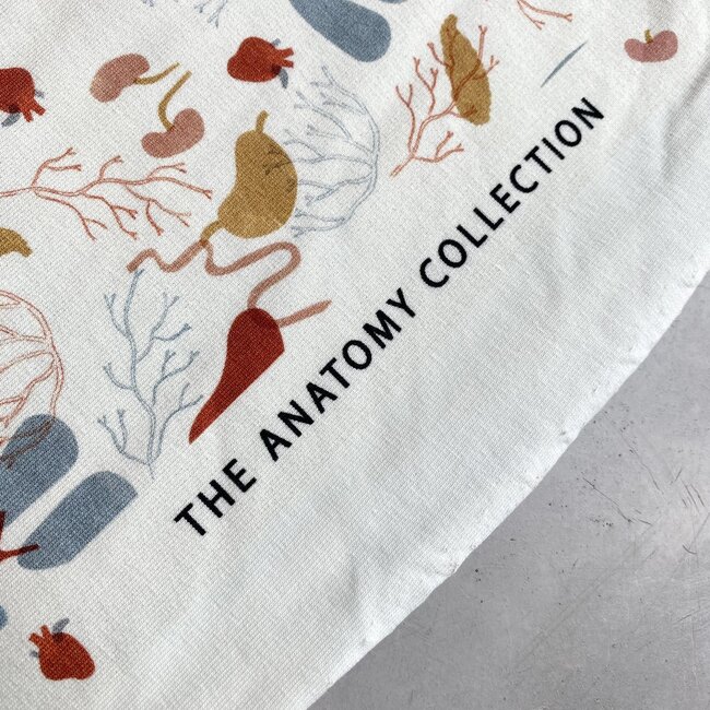 Capsule Fabrics French Terry - Anatomy - Organs
