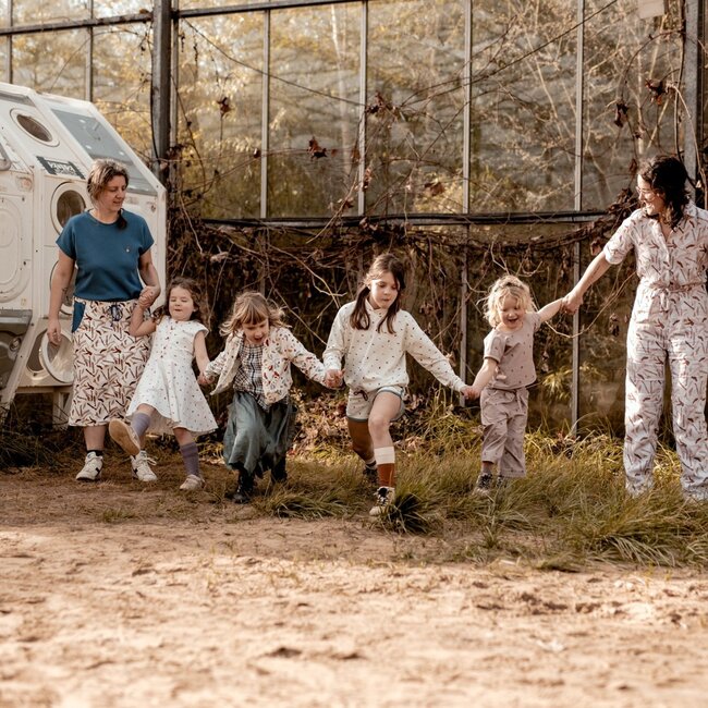 Capsule Fabrics Washed Linen - Anatomy - Limbs