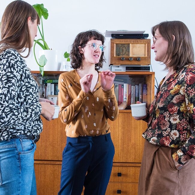 ZONEN09 - DIGITALE PATRONEN VOLWASSENEN PDF THEA - blouse dames