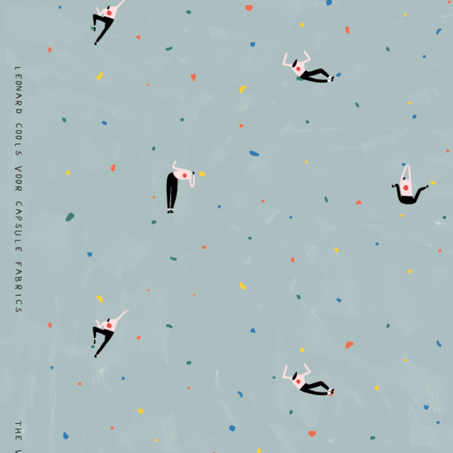 Capsule Fabrics French Terry - The Climber