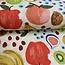 Cotton + Steel Cotton + Linen mix Rifle paper co. - Fruit basket clay