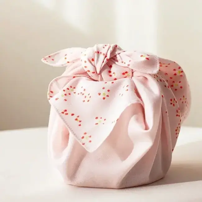 Nani Iro Double Gauze Nani Iro '24 - edelweiss