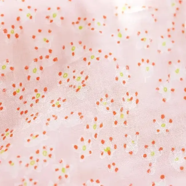 Nani Iro Double Gauze Nani Iro '24 - edelweiss