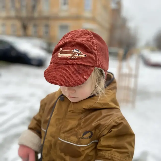 Halfbird Strijkapplicatie Dashond teckel Detlef