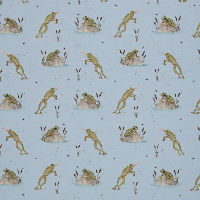 Tricot oeko-tex -  frogs lightblue