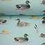 Tricot oeko-tex -  ducks mint