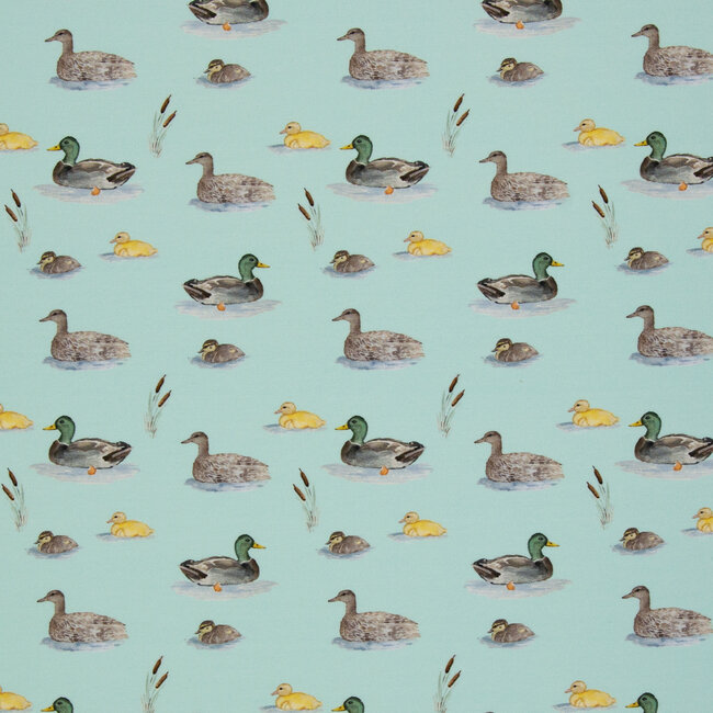 Tricot oeko-tex -  ducks mint