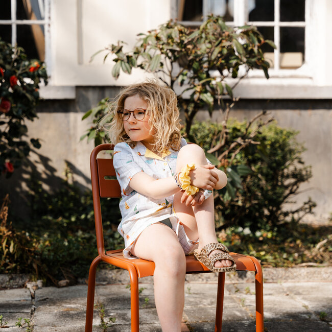 Capsule Fabrics Cotton Poplin - verjaardag - picnic