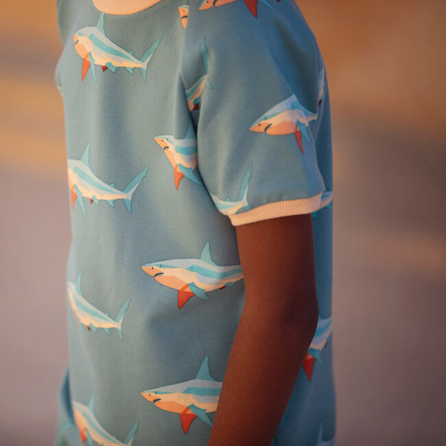 See You At Six SYAS BOORD Perzikroom