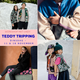 Workshop Teddy Tripping di. 18-25/11