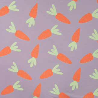 French Terry Sweater - dusty lilac carrots