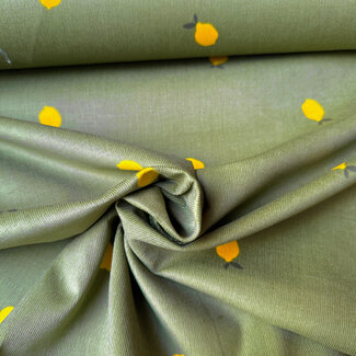 Babyrib lemons green