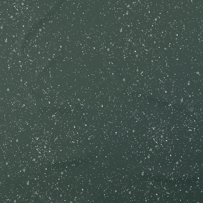 Regen jekker little spicks dark green