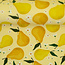 Tricot oeko-tex - summer fruits pear