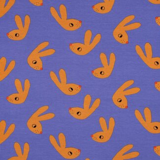 Tricot BIO- bunnies blue