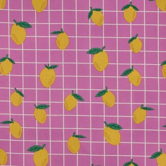 Gelamineerde katoen - summer grid pink lemons
