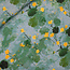 See You At Six SYAS Double Gauze marsh marigold
