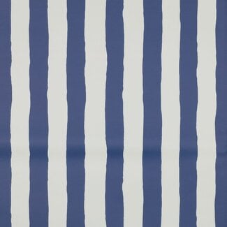 Regen jekker vertical stripes - blue