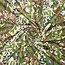 Viscose paisley - green metallic