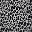 Jacquard jersey leo - zwart/wit
