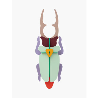 Atelier Toit Scarab Beetle Atelier Toit Scarab Beetle
