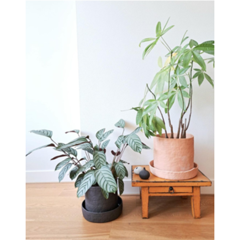 Studio Quasi Plant pot with saucer terra