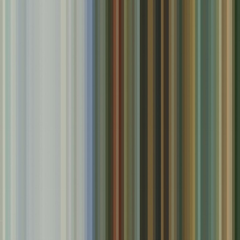 Irma Boom Rijksmuseum DNA behang