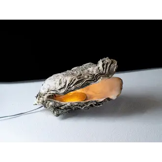 Daan Liefste Oester Lampje Daan Liefste Oester Lampje