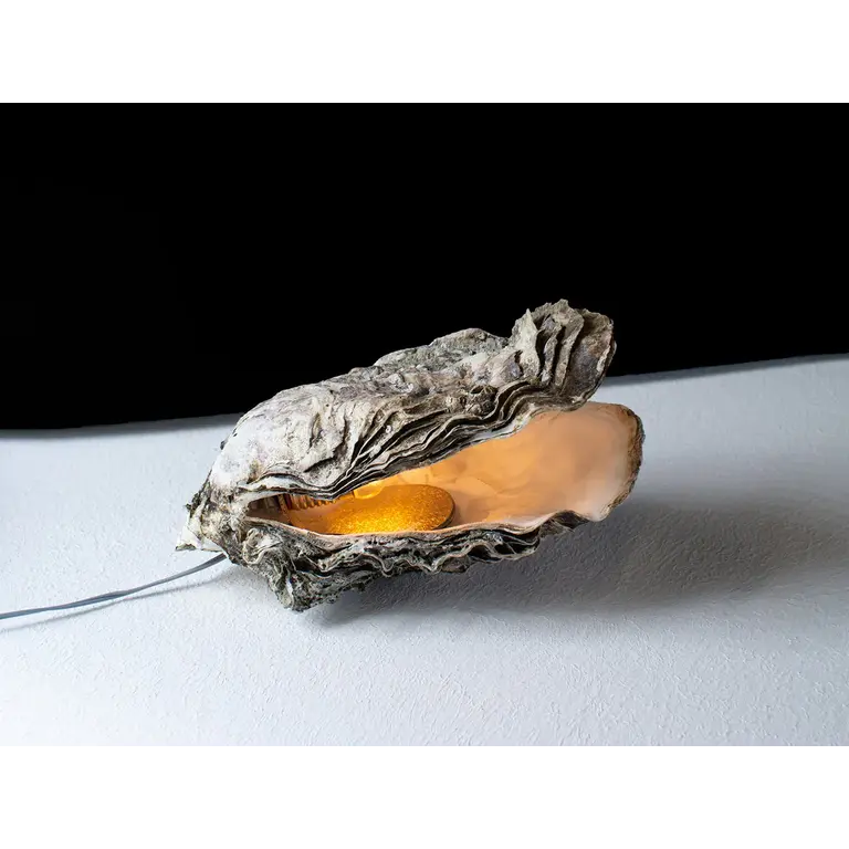 Daan Liefste Oester Lampje