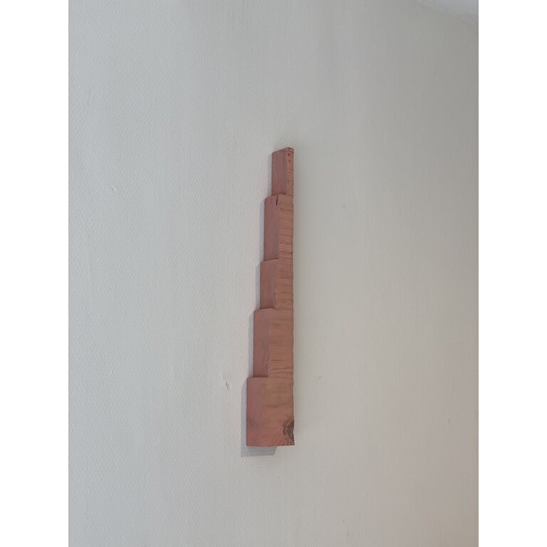 Nina van Bart & Willem van Doorn Wood pieces