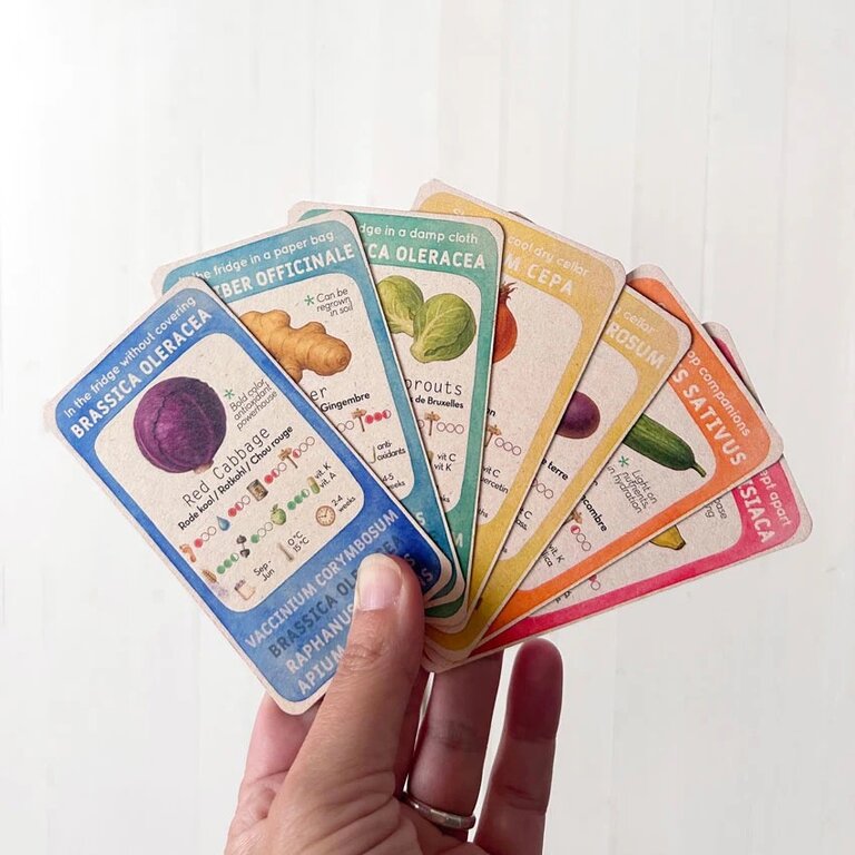 House of Thol Cibus Domus Kwartet