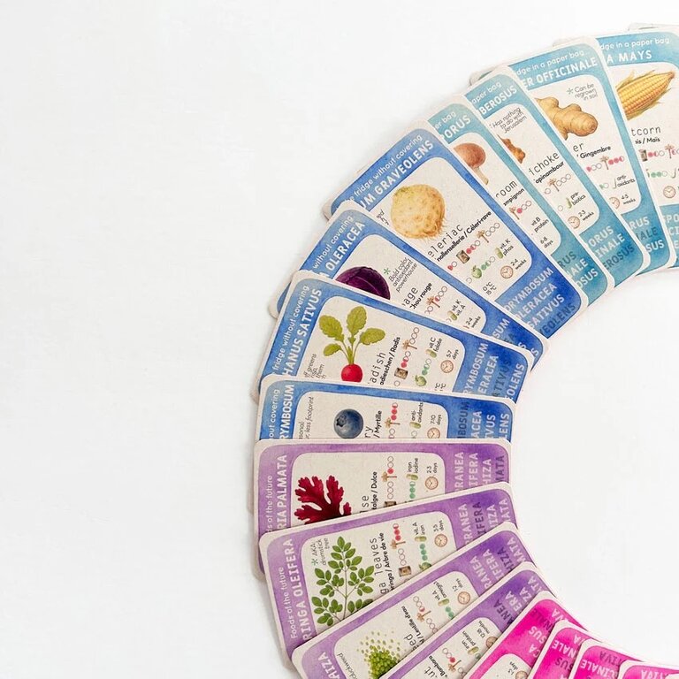 House of Thol Cibus Domus Kwartet