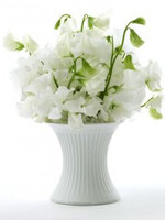 Serax The perfect vase small dia 10,5 H 10,5 cm