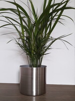 Palm + zilver metaal bloempot
