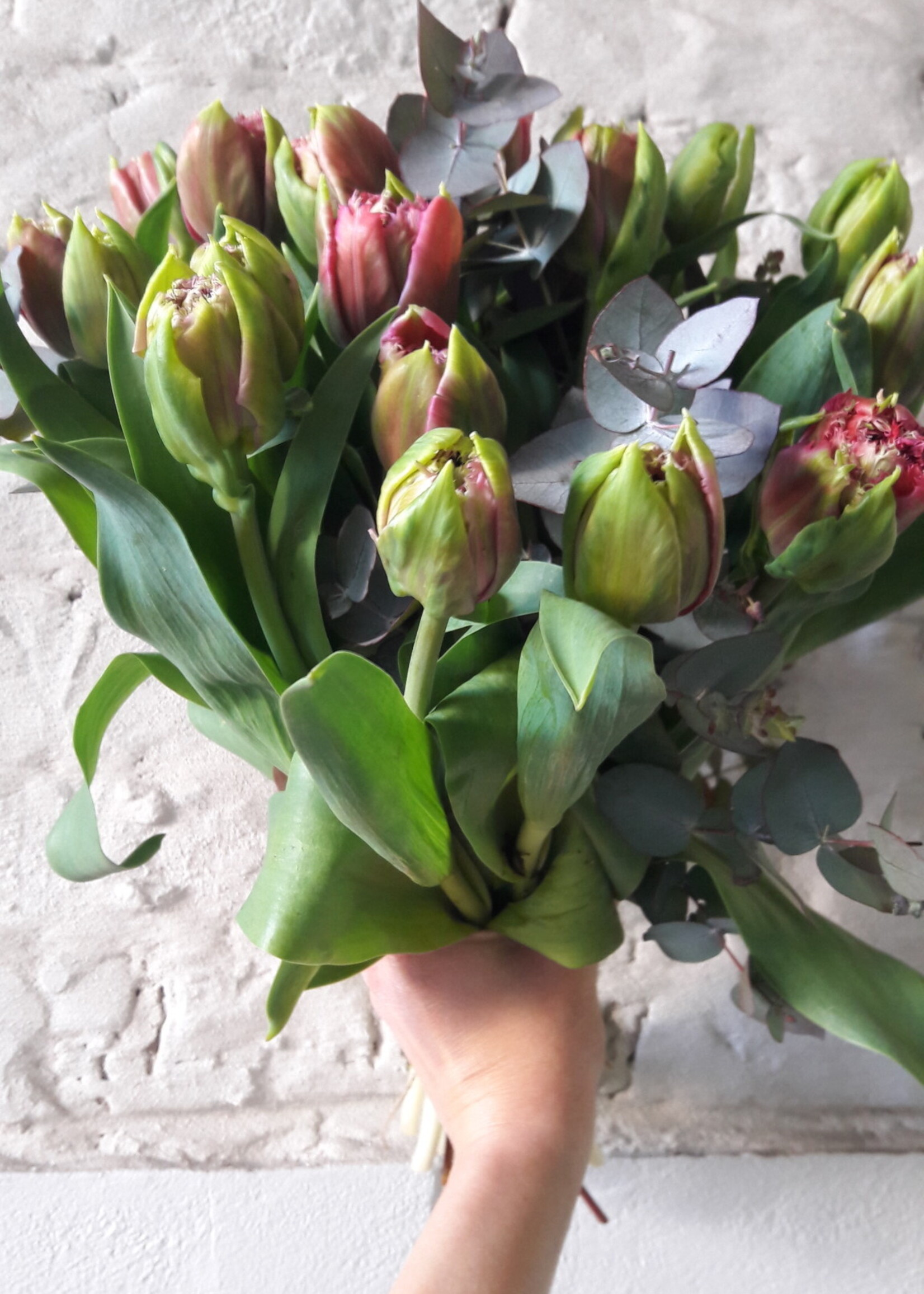 Tulpenboeket  _ 20 stuks (keuze tussen geel, rood)