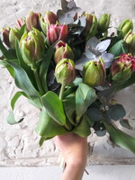 Tulpenboeket 30 stuks ( keuze tussen dubbel licht roze of enkel rood gemengd )