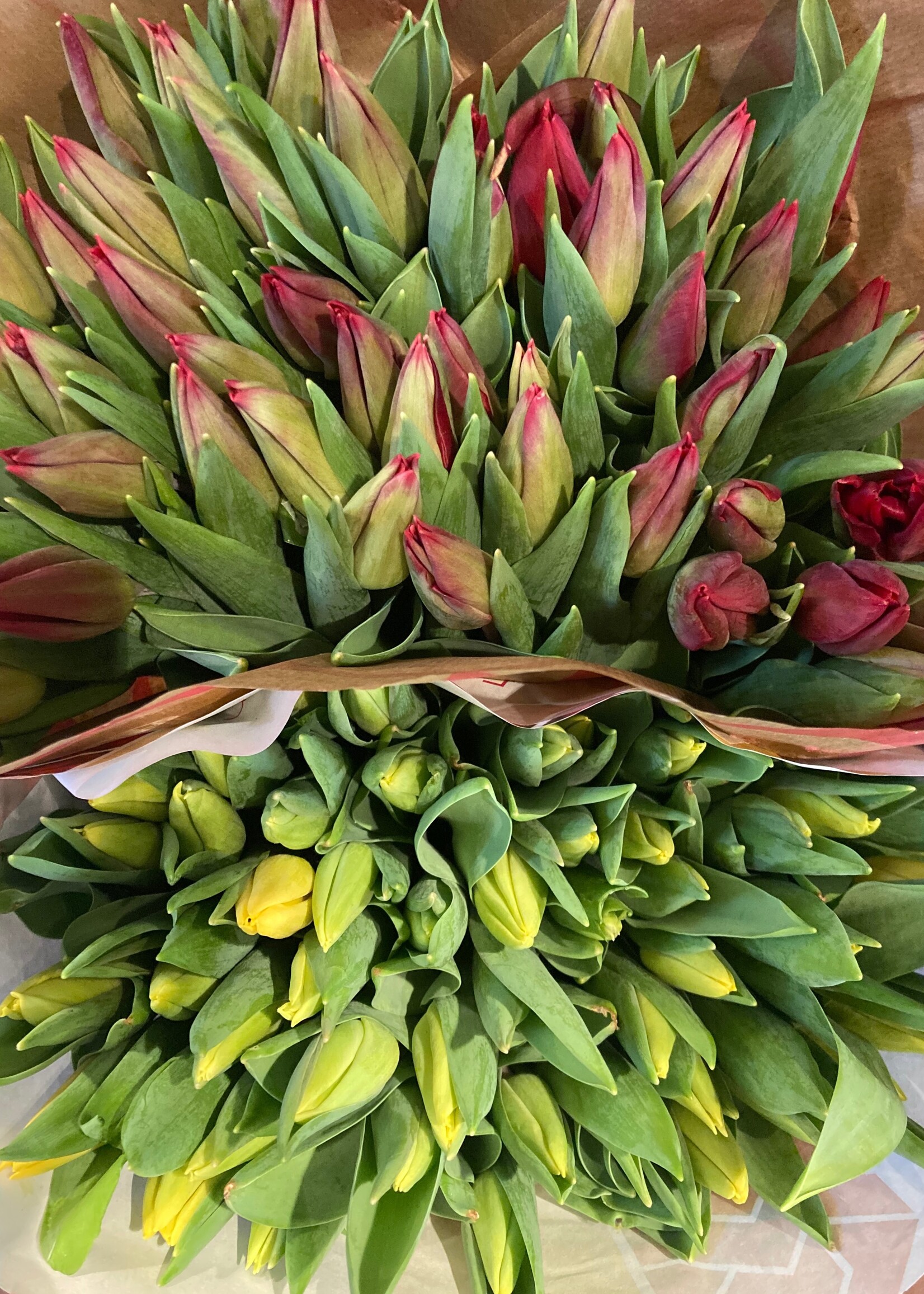 Tulpenboeket  _ 20 stuks (keuze tussen dubbel licht roze of enkel rood gemengd)