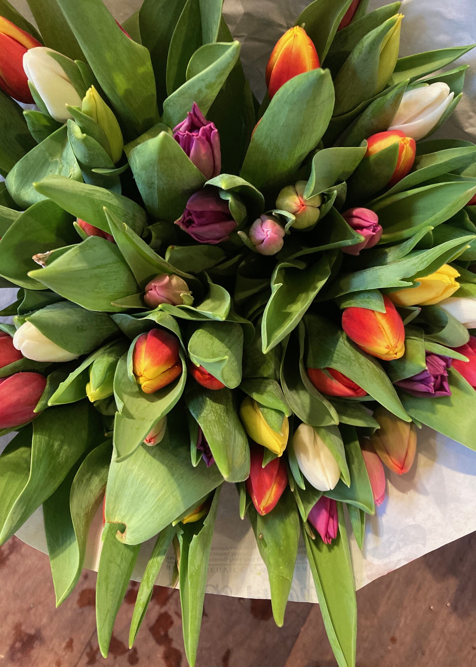 Tulpenboeket  _ 20 stuks