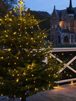 Sirius Knirke Christmas Lights, 312L, clear/green(binnen en buiten)