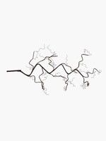 Sirius Rasmine Branch 66L, H 90 cm