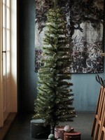 Sirius Alvin Tree, H1,8m  234L (buiten&binnen)