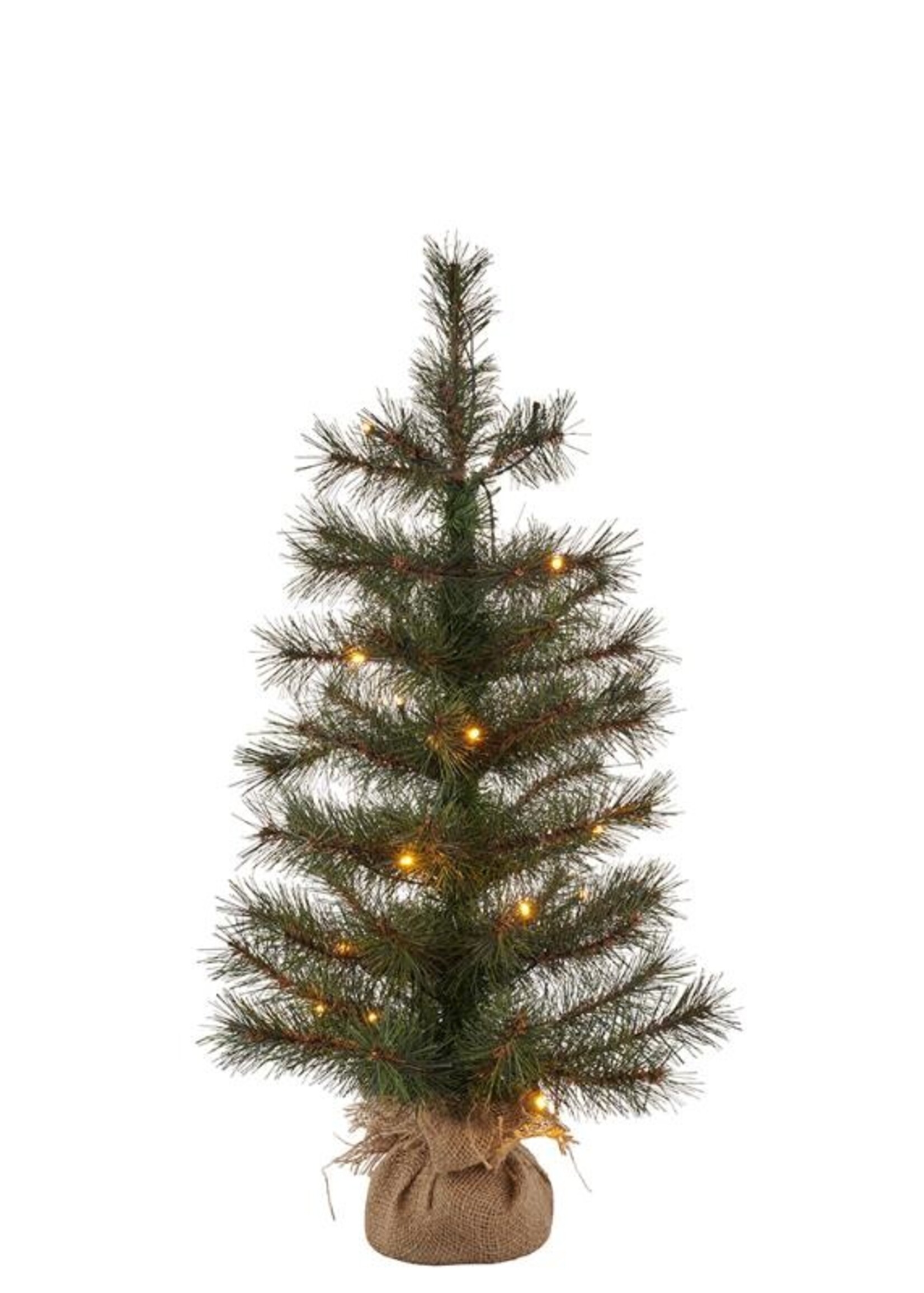 Sirius Alvin Tree, H60 cm, 20L (binnen&buiten)