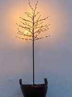 Sirius Noah tree - H 220 cm - 480 led
