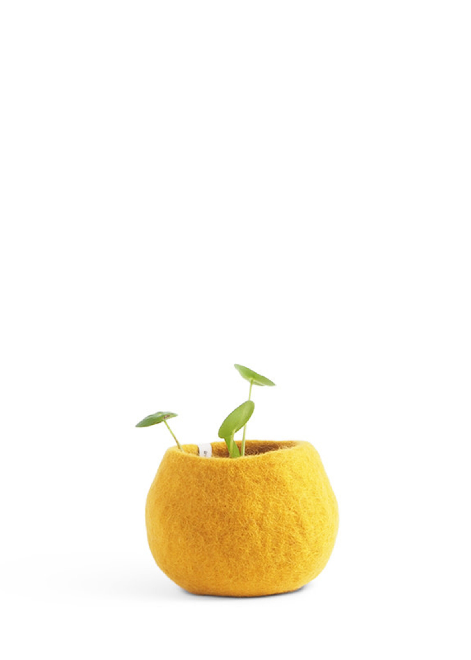 Aveva design Flower pot 16, S, Okergeel
