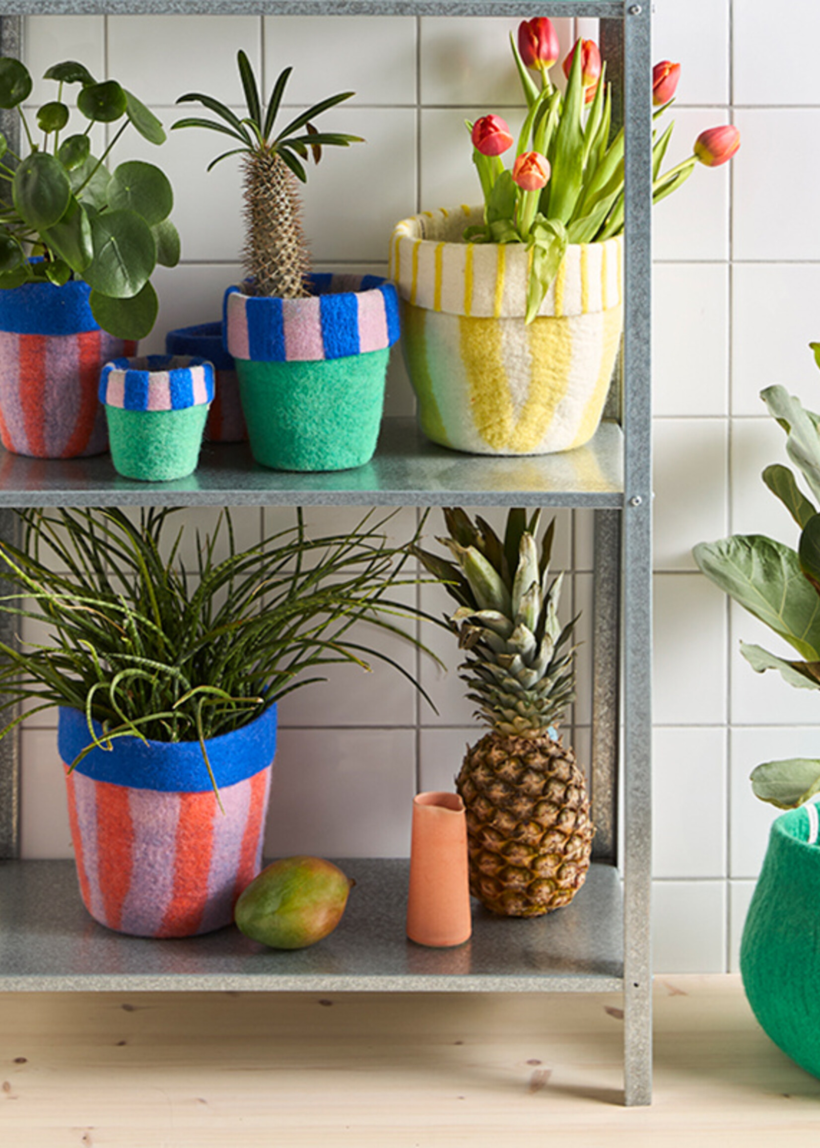 Aveva design Flower pot 20, L, Carnaval