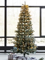 Sirius Elias Christmas Tree With Snow With Knirke H2,4+5m