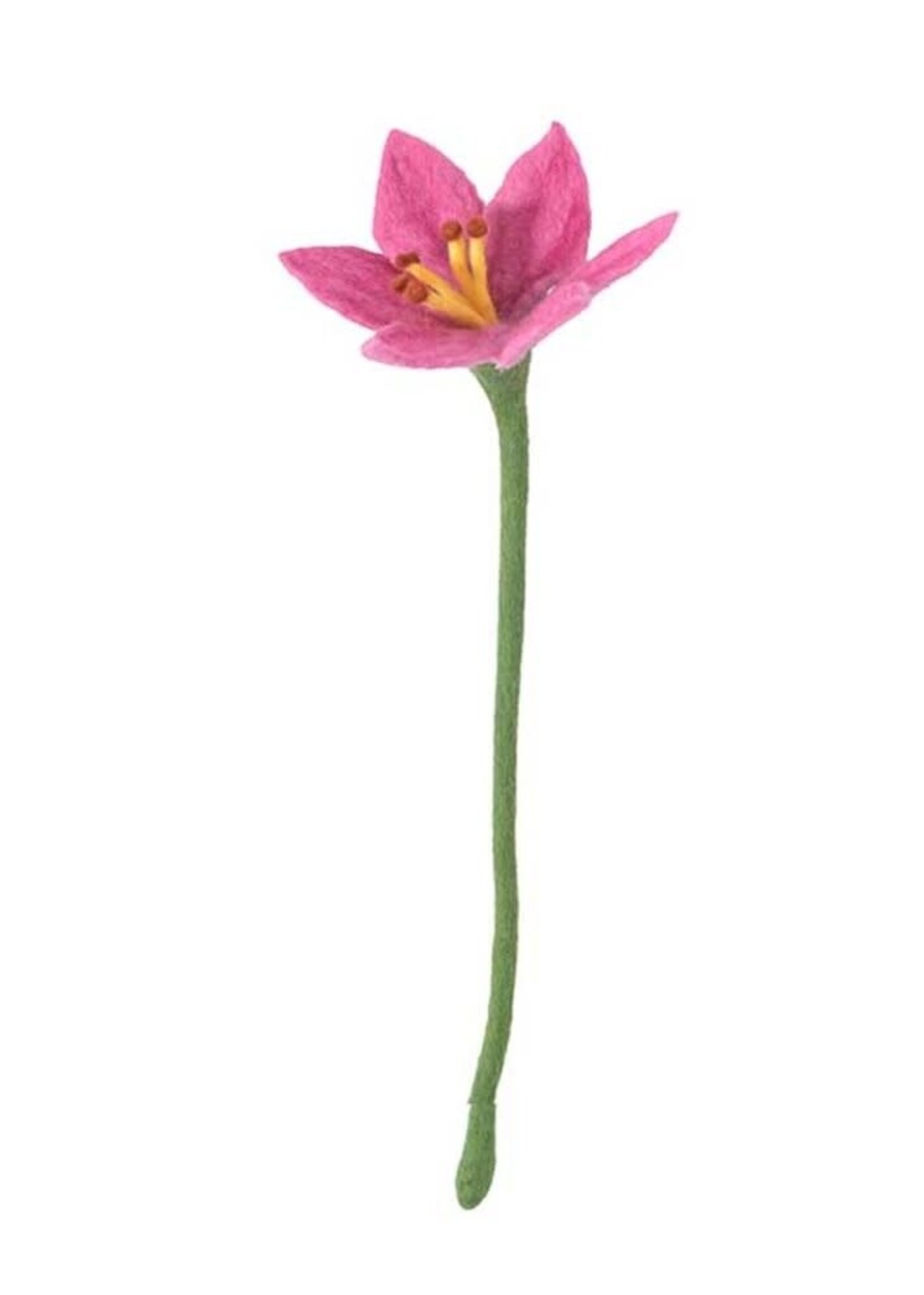 Aveva design Aveva design ENDLESS FLOWER, lily, pink